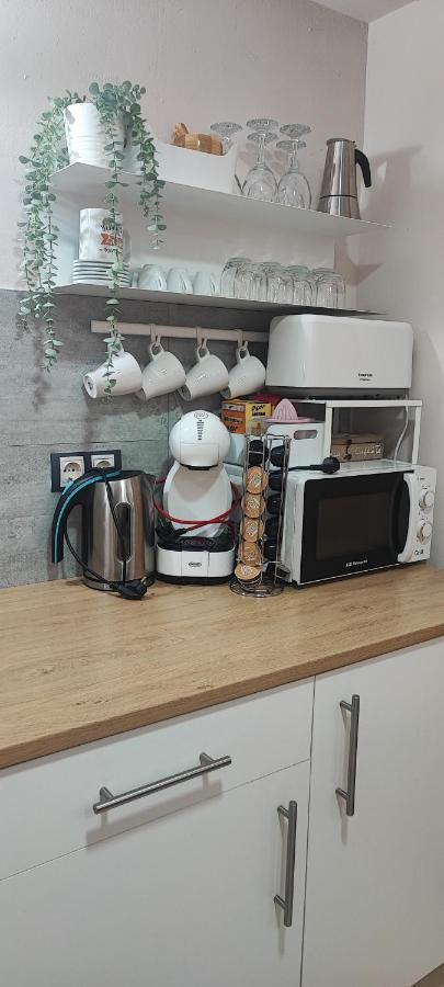 Appartement El Niuet De Cal Cacuet, La Teva Escapada Rural. à Aviá Extérieur photo