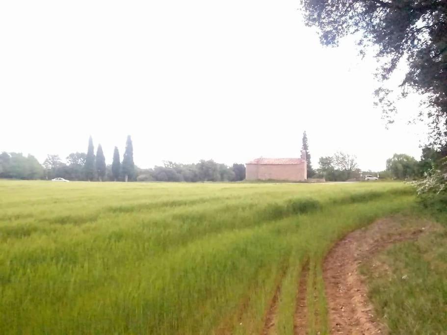 Appartement El Niuet De Cal Cacuet, La Teva Escapada Rural. à Aviá Extérieur photo