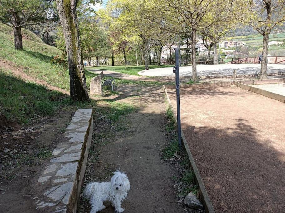Appartement El Niuet De Cal Cacuet, La Teva Escapada Rural. à Aviá Extérieur photo